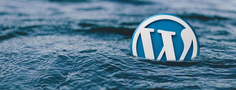 utilizar categorías y etiquetas en wordpress