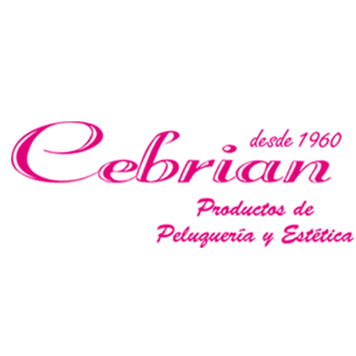 Seo y marketing digital para Cebrian