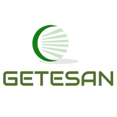 posicionamiento web y diseño web para Getesan